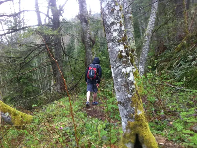 In the image we can see there is a person who is wearing a jacket and carrying backpack at the...