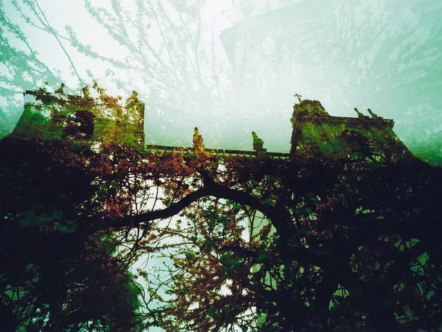 In the picture we can see some trees and near the historical construction with a bridge.