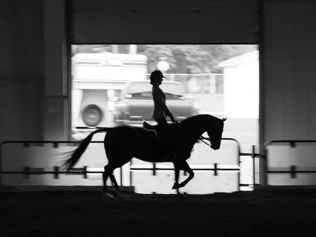 In this picture there is a woman who is riding on a horse. There is a car and a barricade. There...