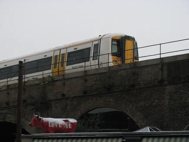 In this image we can see a train on the bridge. We can also see a fence, pole, statue of a buffalo,...