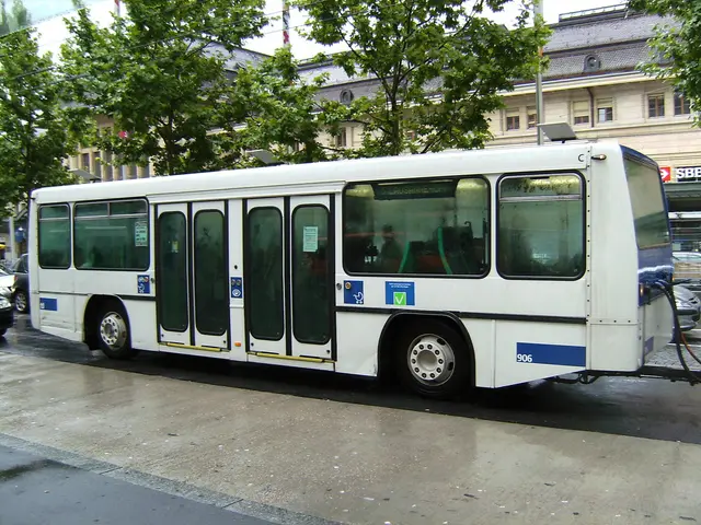 The picture is taken outside a city. In the foreground of the picture it is road, on the road there...