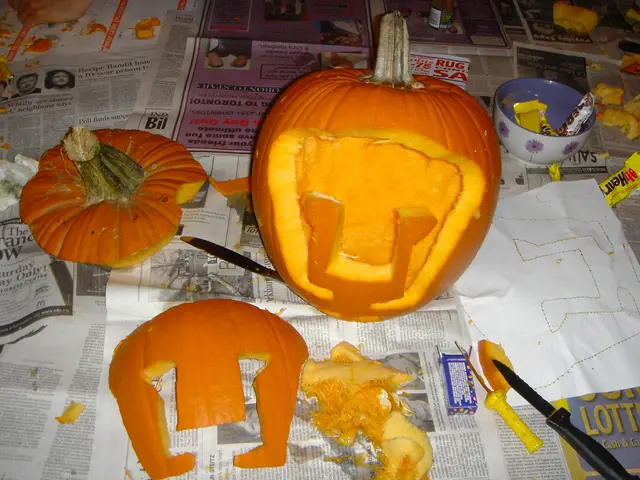 In this image there are sliced pumpkins. Beside the pumpkins there are knives, a bowl and some...