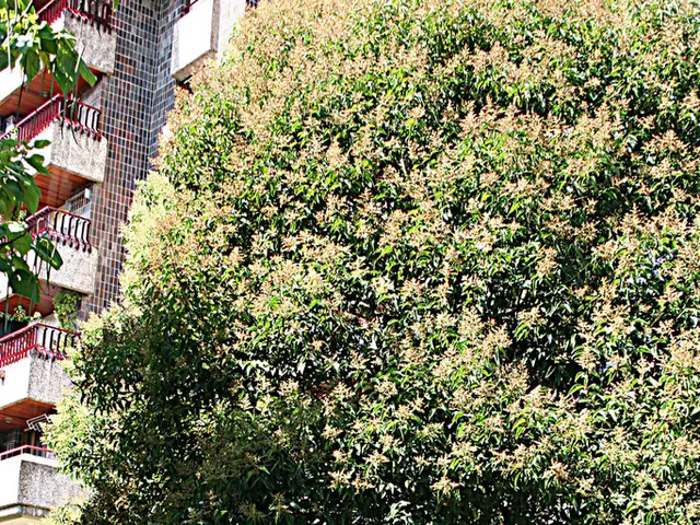 In this picture there is a bench at the bottom side of the image and there is a boundary behind it...