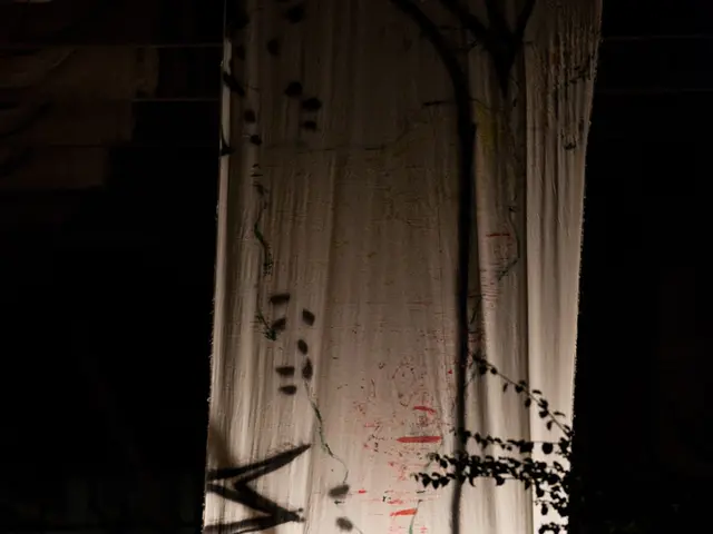 In the center of the image we can see a cloth. At the bottom there are two ladies dancing and we...