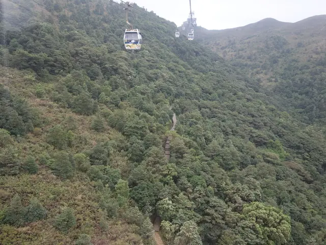 In this image, we can see a ropeway. There are a few trees and hills. We can see the path. We can...